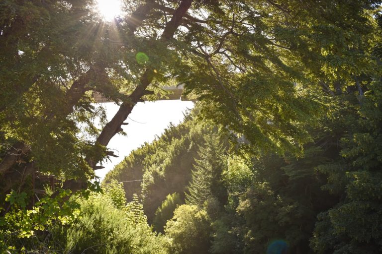 Discover Nature’s Magic Through the Life-Changing Power of Adventure Outdoors