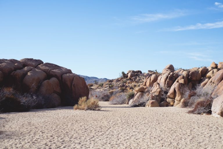The Thrill of Embracing the Great Outdoors: A Journey to Self-Discovery